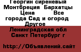 Георгин сиреневый. Монтбреция. Бархатцы.  › Цена ­ 100 - Все города Сад и огород » Другое   . Ленинградская обл.,Санкт-Петербург г.